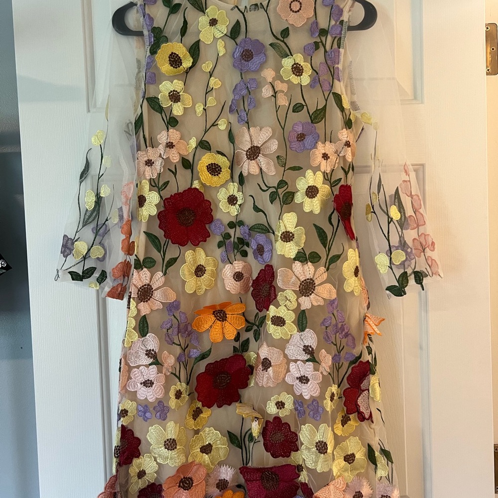 Floral Embroidered Mesh Dress
